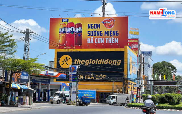 bang-quang-cao-ta-duong-le-thai-to-vinh-long-do-nam-long-thuc-hien-2